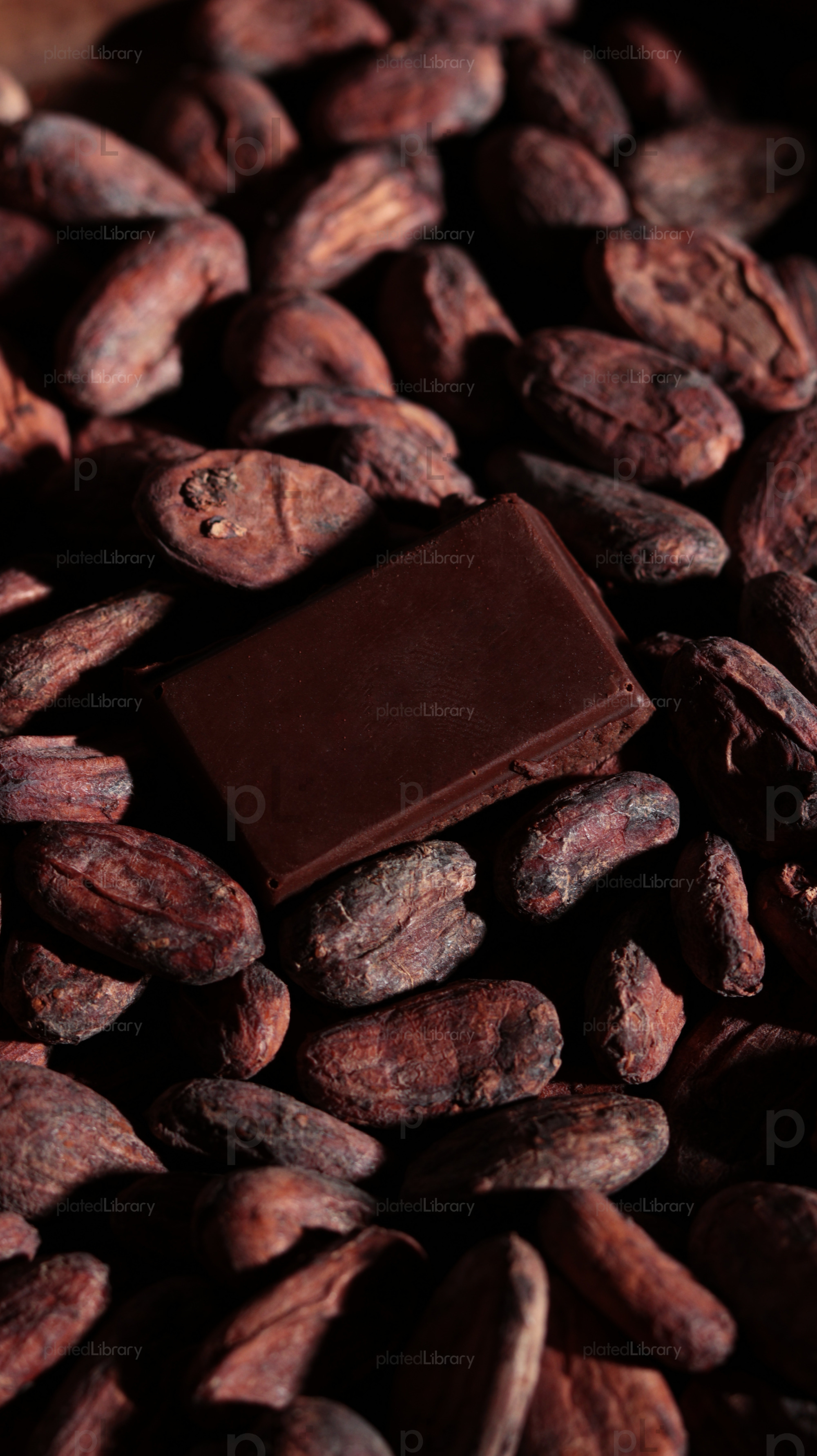 Dark Chocolate