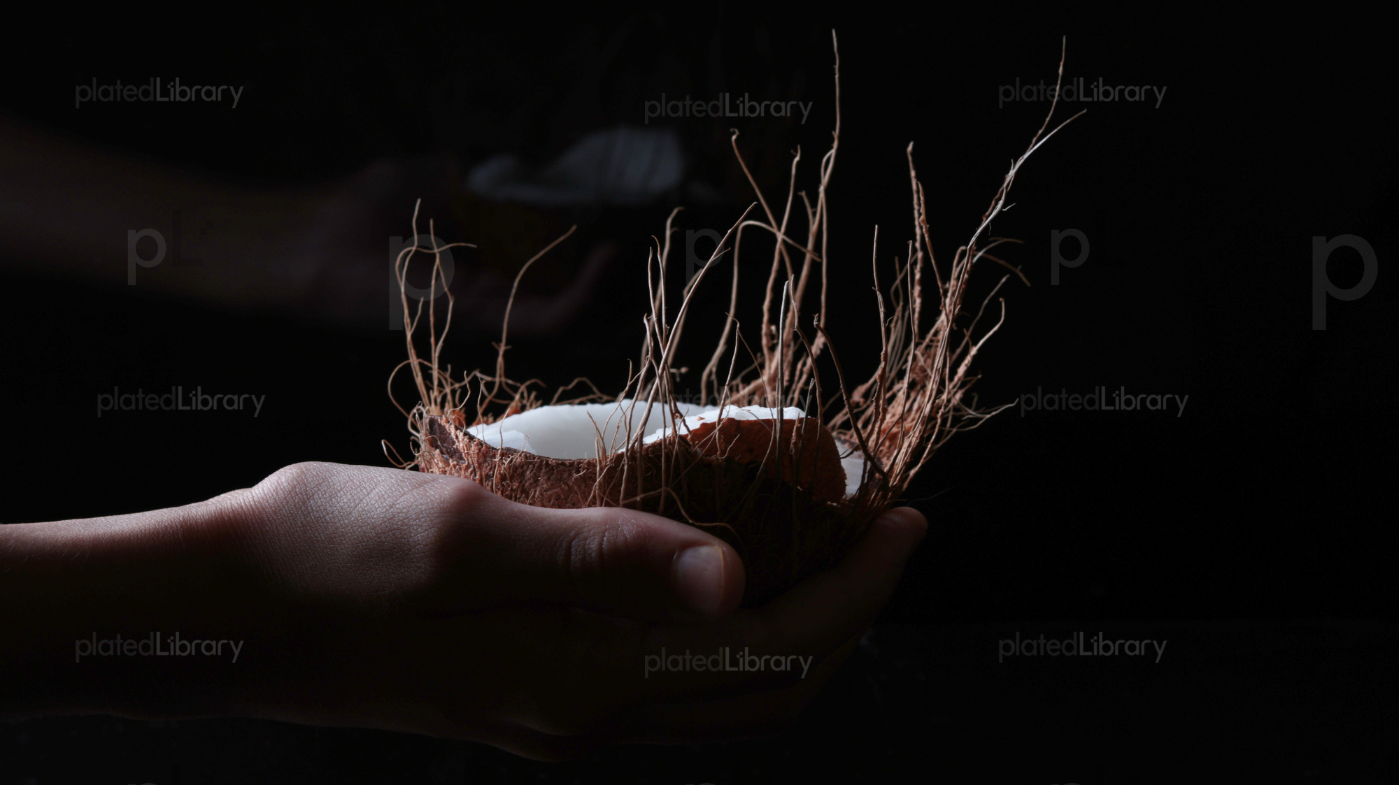 Coconut