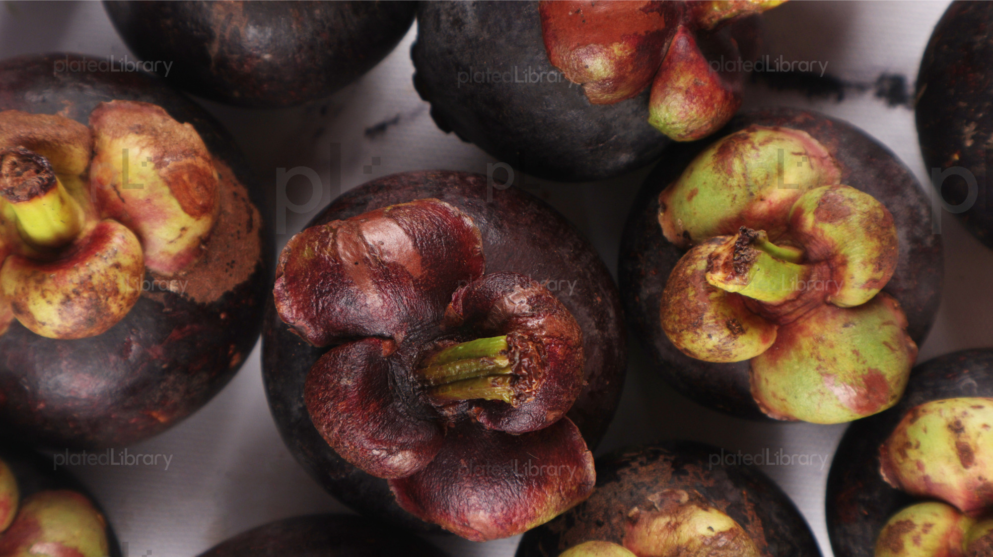 Mangosteen