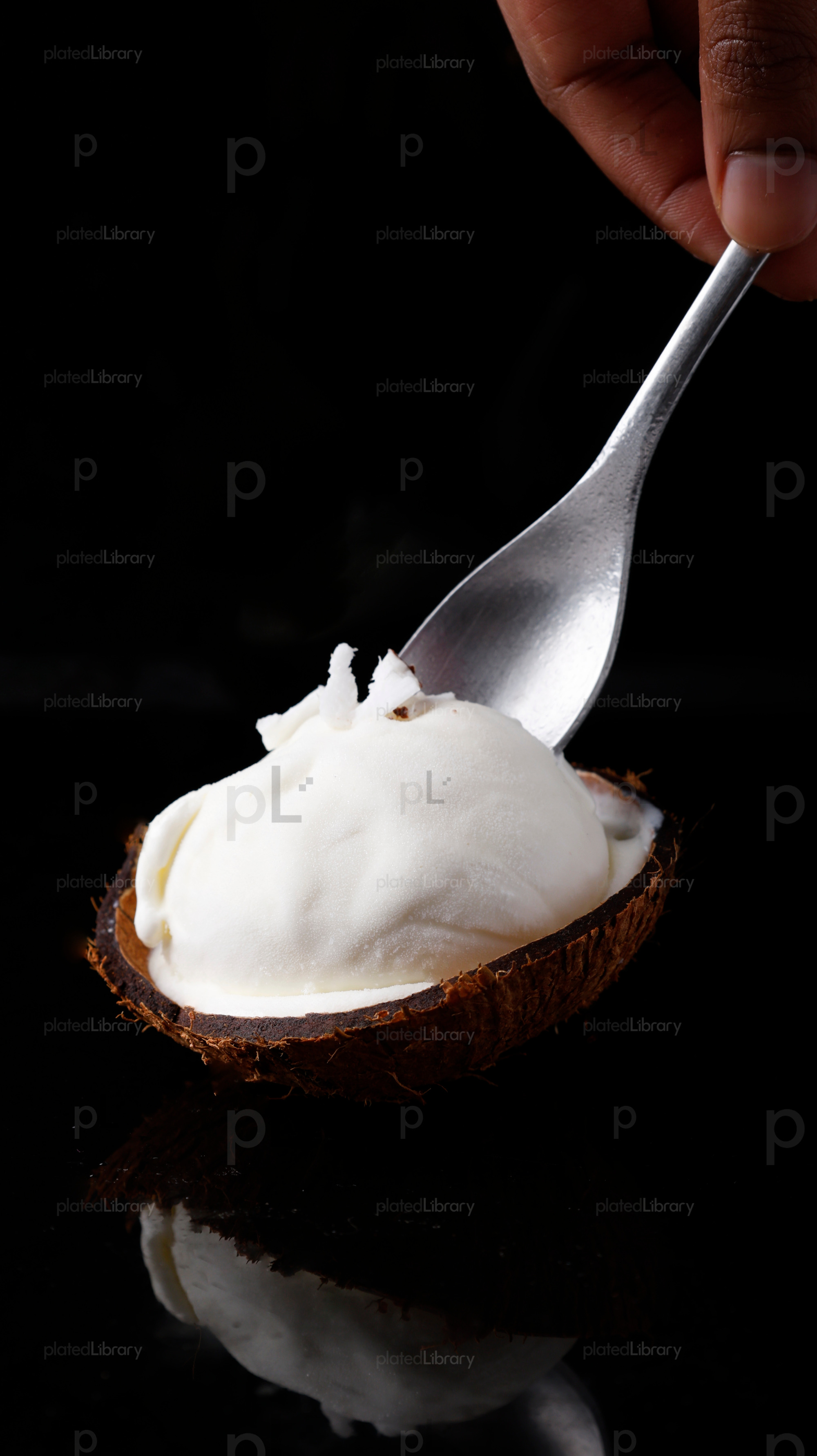 Coconut Ice Cream