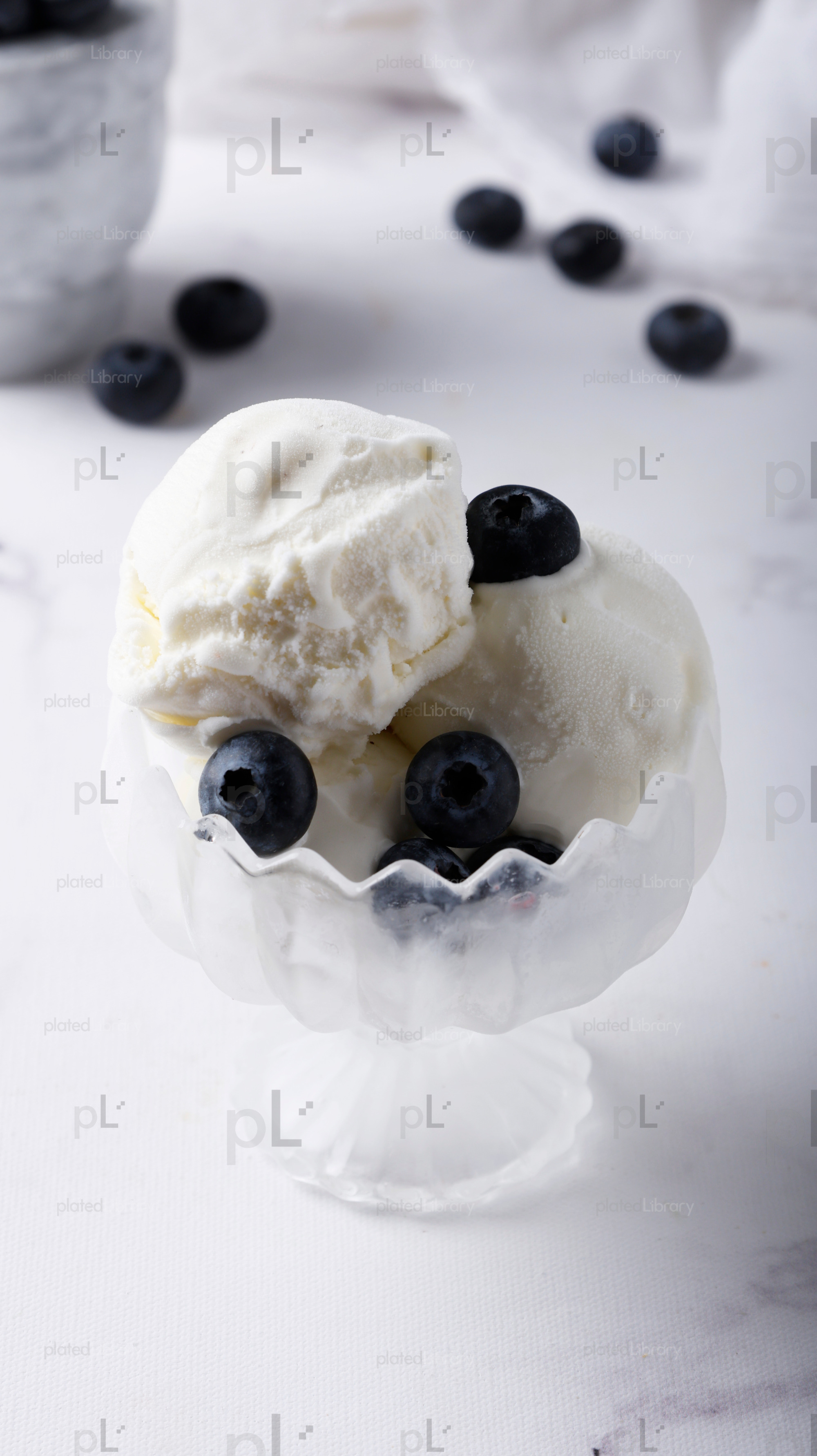 Blueberry Ice Cream
