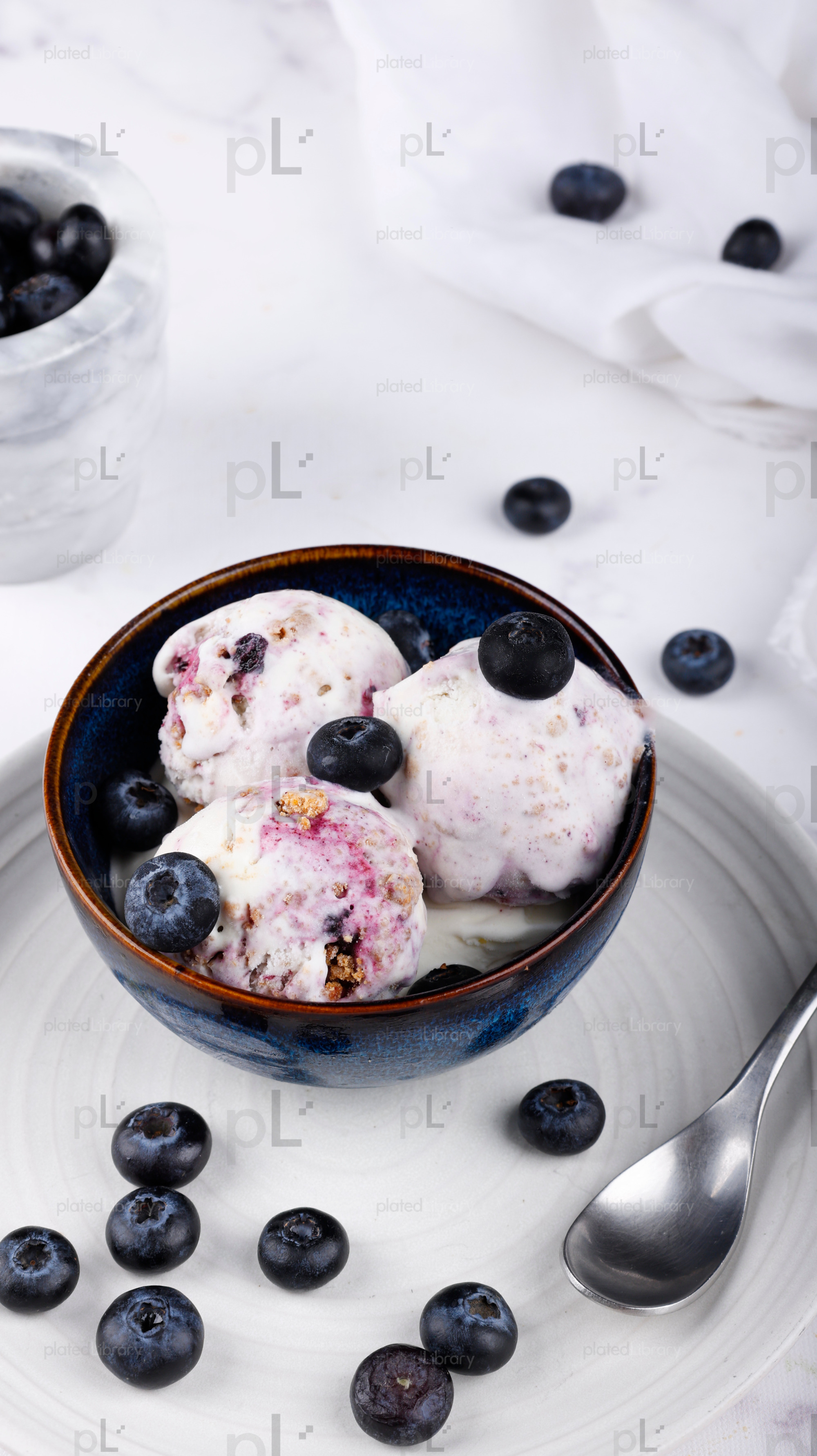 Blueberry Ice Cream