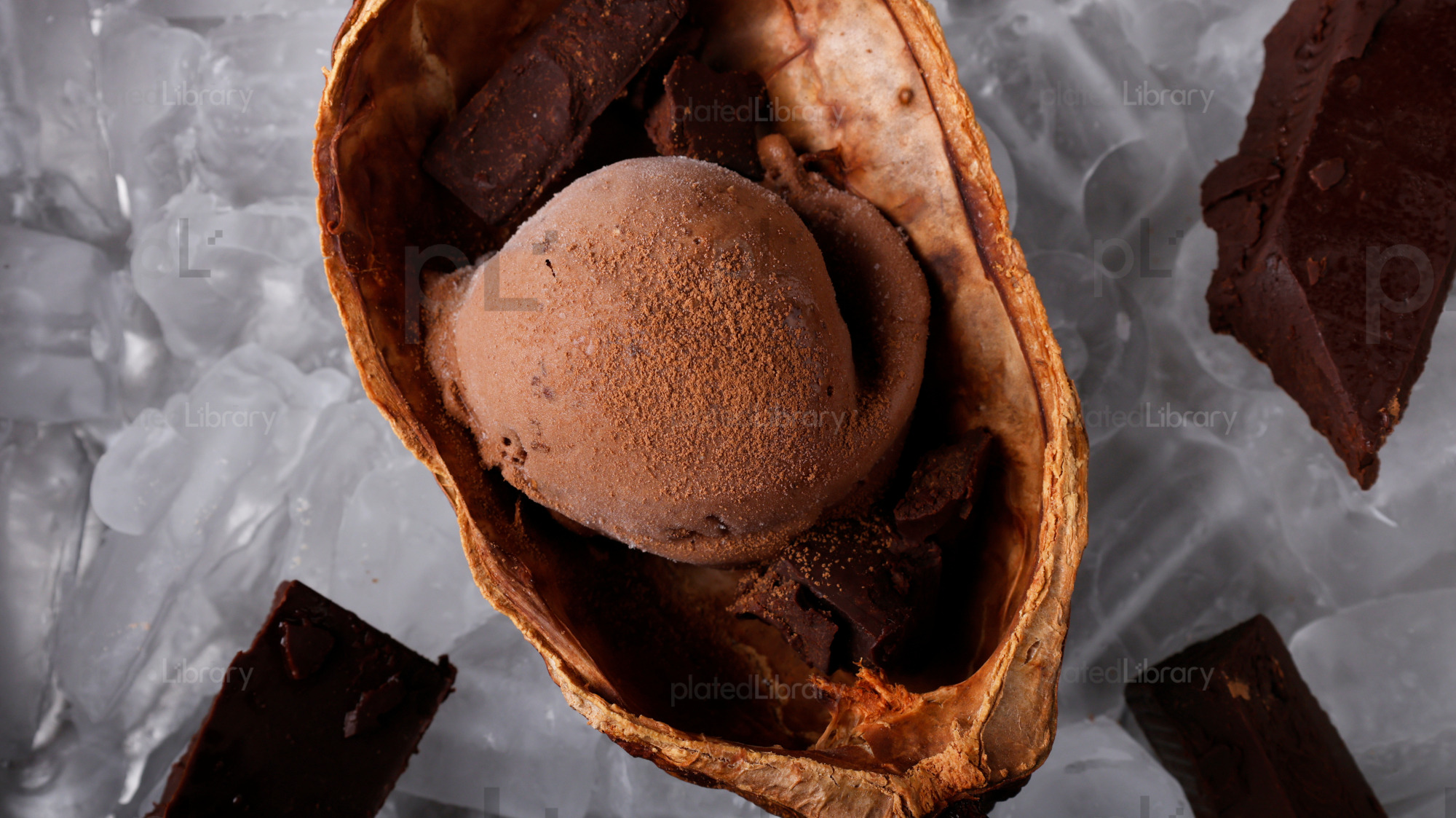Chocolate Ice Cream